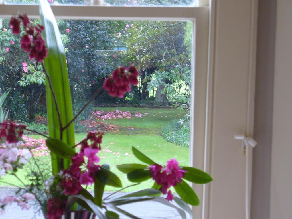Oak Lane Lodge Hamilton Room photo